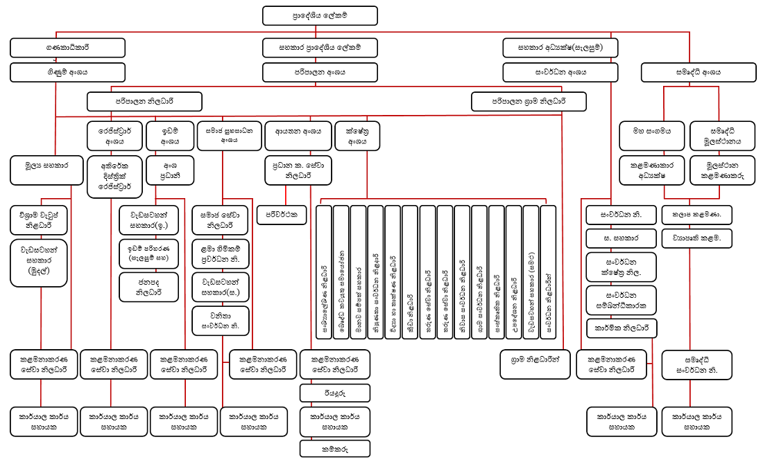org chart sin